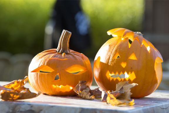 Halloween pompoenen | Beach Resort Nieuwvliet-Bad