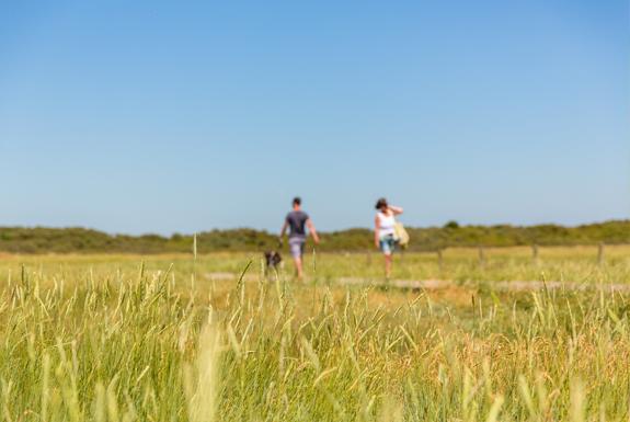Wandelaars |Beach Resort Nieuwvliet-Bad